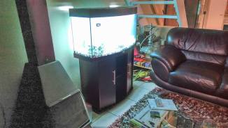 1426262_10153182752566020_4976839846826764838_n