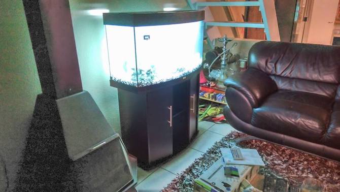 1426262_10153182752566020_4976839846826764838_n